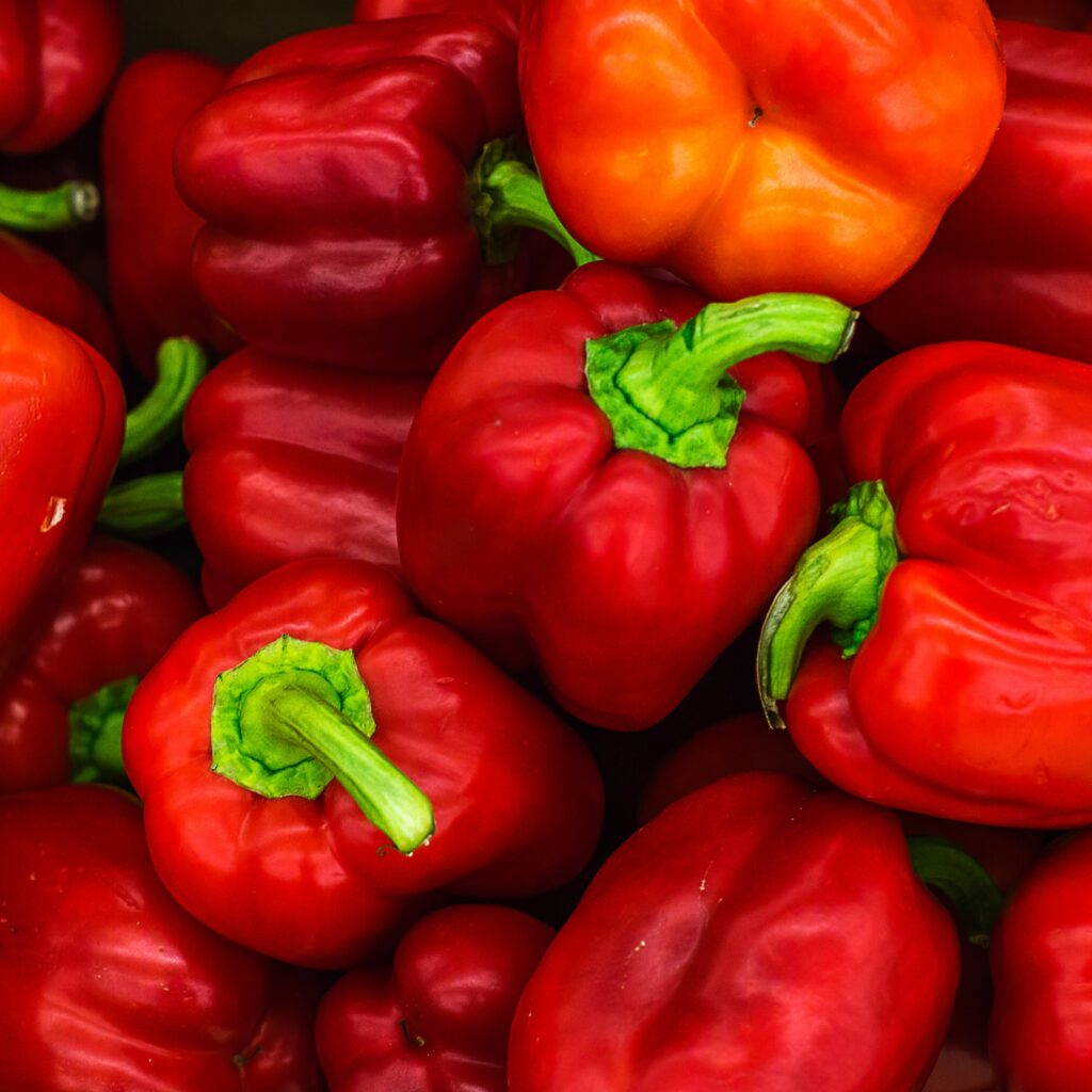 rote Paprika