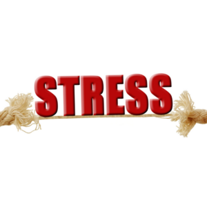 Stress reduzieren zum Abnehmen